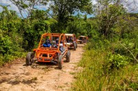 /album/tours-buggies/flintstones-buggy-adventure-from-punta-cana-in-punta-cana-220492-jpg/