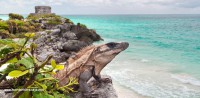 /album/tours-buggies/tours-en-la-riviera-maya-tulum-tortugas-akumal-0-jpg/