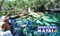 /album/adventures-mayan/combo-two-mayan-adventure-and-mayan-xtreme2-jpg/